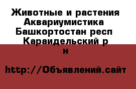 Животные и растения Аквариумистика. Башкортостан респ.,Караидельский р-н